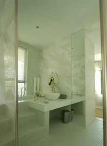 時尚現(xiàn)代簡約衛(wèi)生間臺階隔斷設計